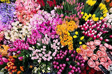 因匹配等问题《地狱潜者2》Steam发售评价为褒贬不一 开发者承诺修复